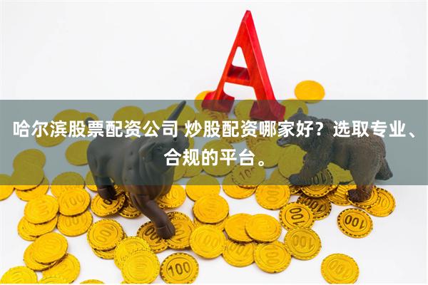 哈尔滨股票配资公司 炒股配资哪家好？选取专业、合规的平台。