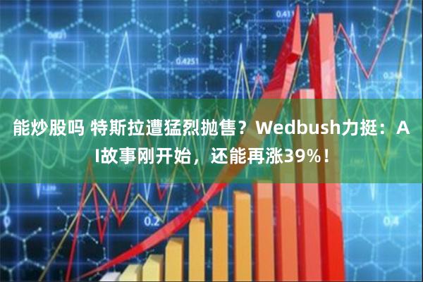 能炒股吗 特斯拉遭猛烈抛售？Wedbush力挺：AI故事刚开始，还能再涨39%！