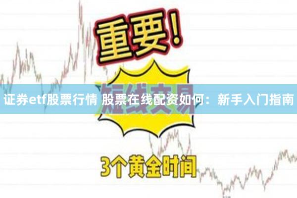证券etf股票行情 股票在线配资如何：新手入门指南