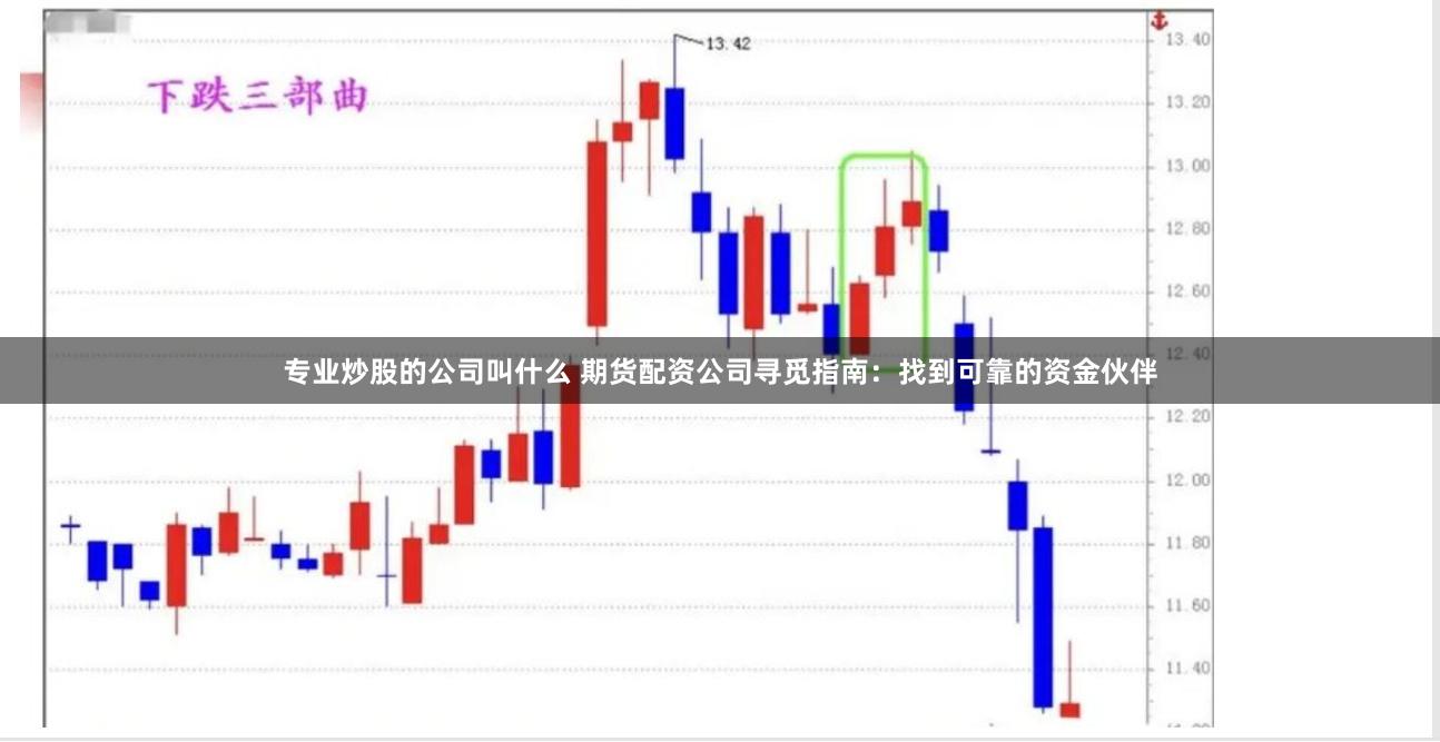 专业炒股的公司叫什么 期货配资公司寻觅指南：找到可靠的资金伙伴