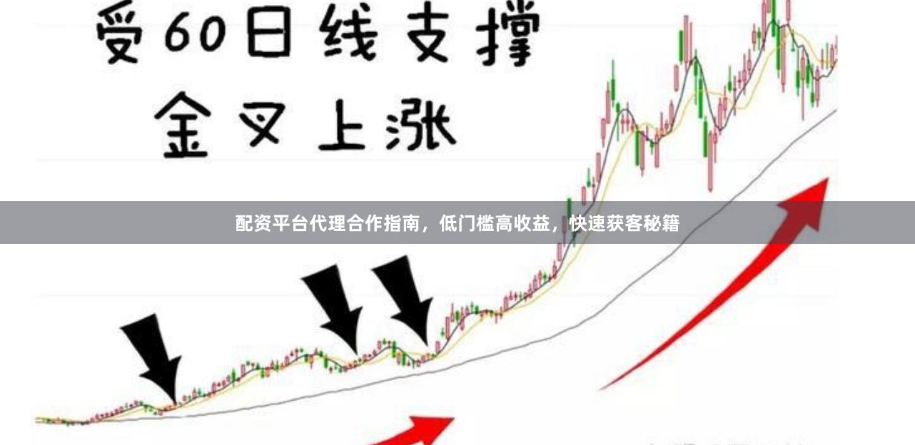 配资平台代理合作指南，低门槛高收益，快速获客秘籍