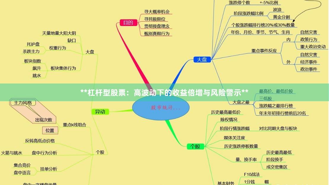 **杠杆型股票：高波动下的收益倍增与风险警示**